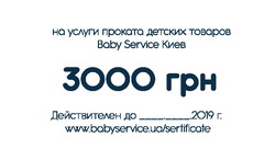 Сертификат Baby Service обратная сторона вариант 1